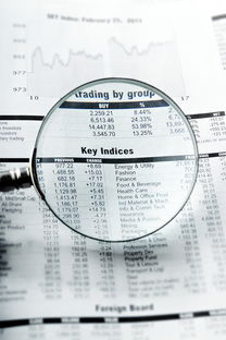信阳同志供卵选性别：nt值偏高风险大吗下一步检查什么？
